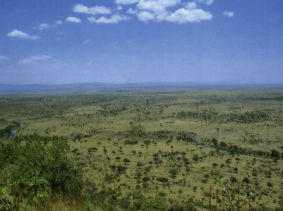 Vom Soit Oloololo Escarpment hat man einen weiten Blick ber die leicht gewellte Savannenlandschaft der Masai Mara